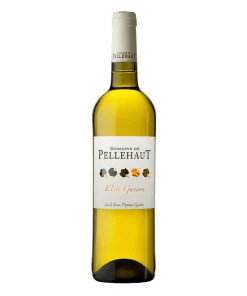 Domaine de PELLEHAUT – ÉTÉ GASCON 2023
